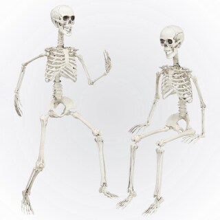 Deko Skelett 90 cm, 32,99 €