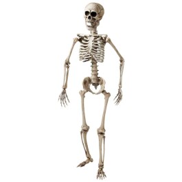 Bewegliches Deko Skelett Modellskelett Gerippe 160 cm